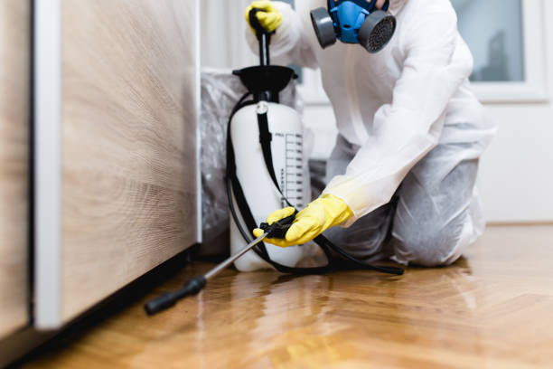 Best Pest Inspection Near Me  in Rowland, NC