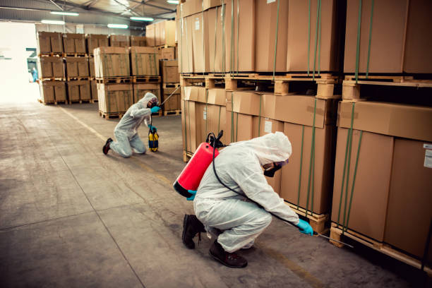Trusted Rowland, NC Pest Control Experts