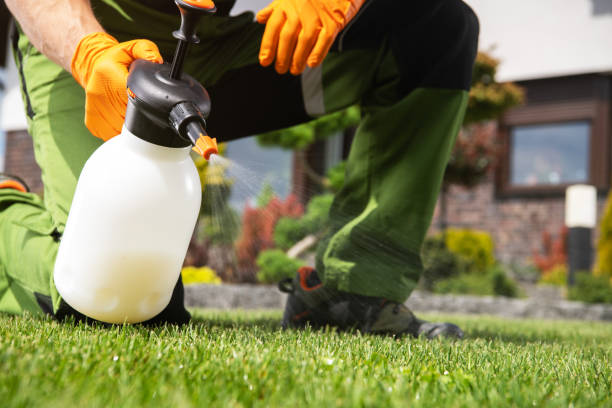 Best Mosquito Control Services  in Rowland, NC