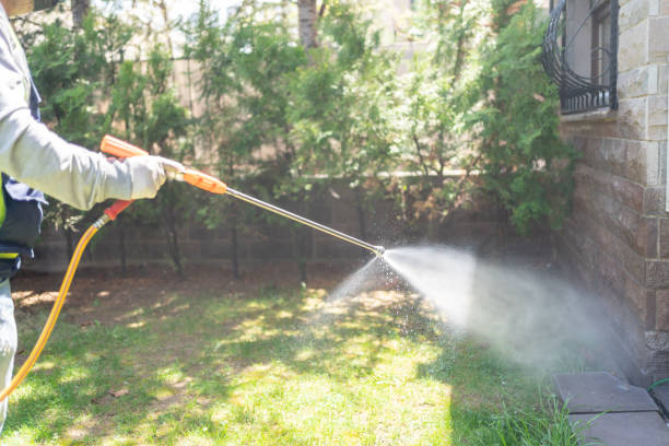 Best Local Pest Control Services  in Rowland, NC