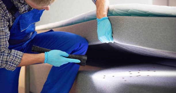 Best Affordable Pest Control Services  in Rowland, NC
