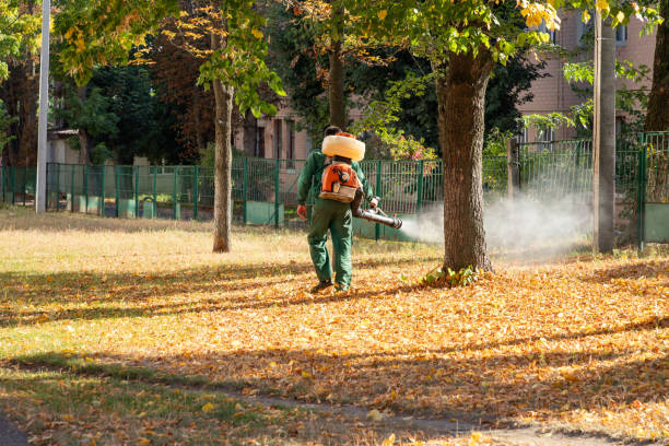 Best Insect Control  in Rowland, NC