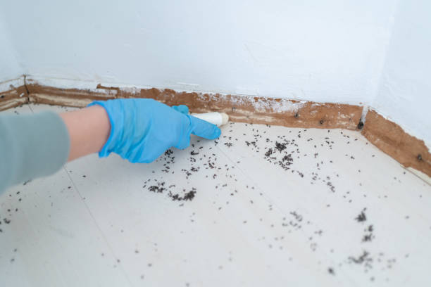 Best Residential Pest Control  in Rowland, NC